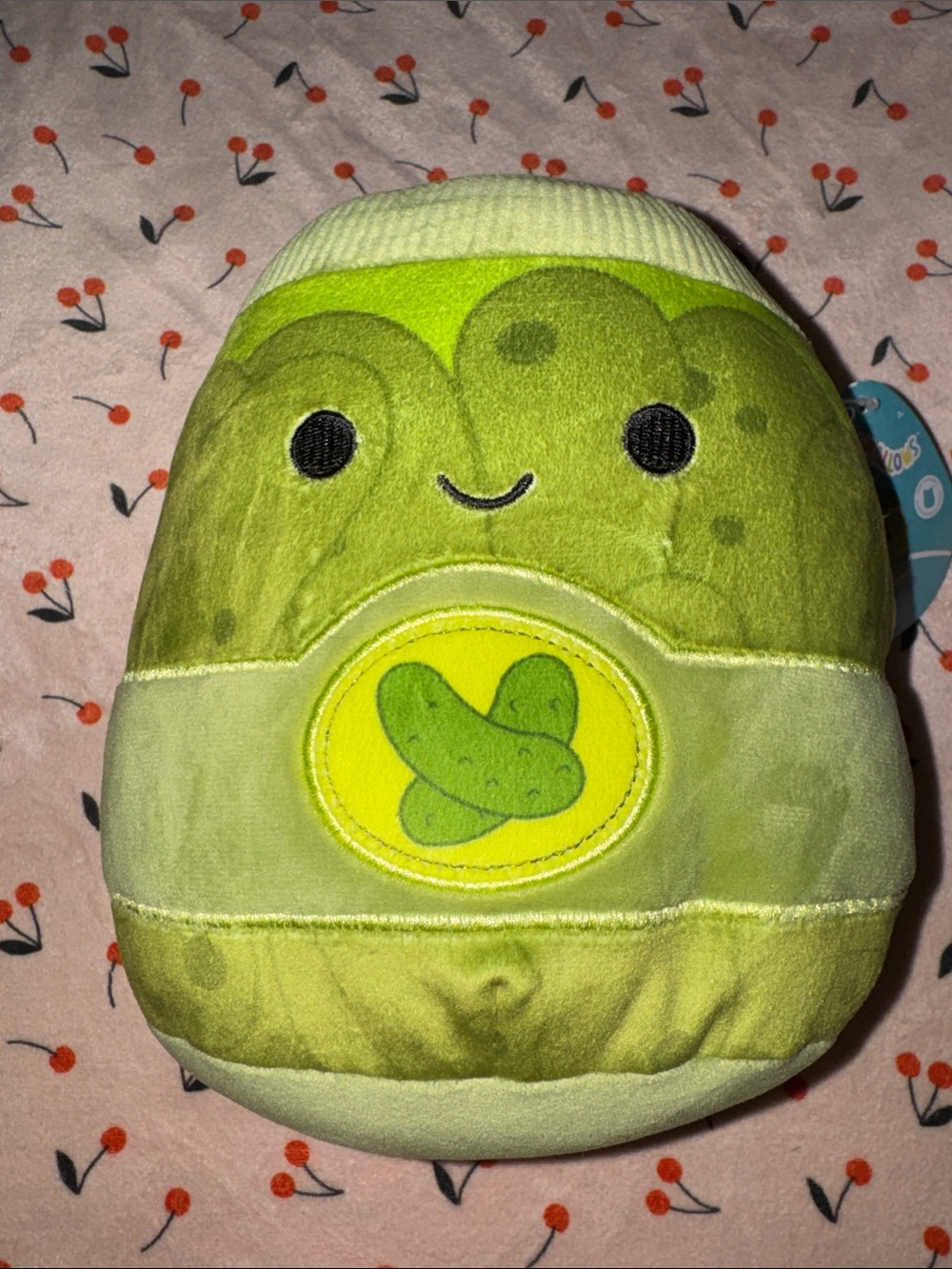 Squishmallows Zaid pickle 🥒 jar